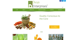 Desktop Screenshot of divya-enterprises.com